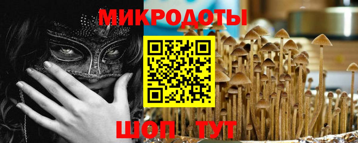 Курган  Псилоцибиновые грибы прущие грибы  Вход с VPN 