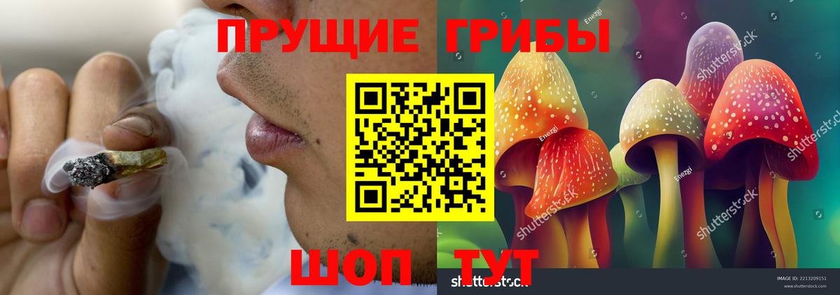 Псилоцибиновые грибы Magic Shrooms Курган